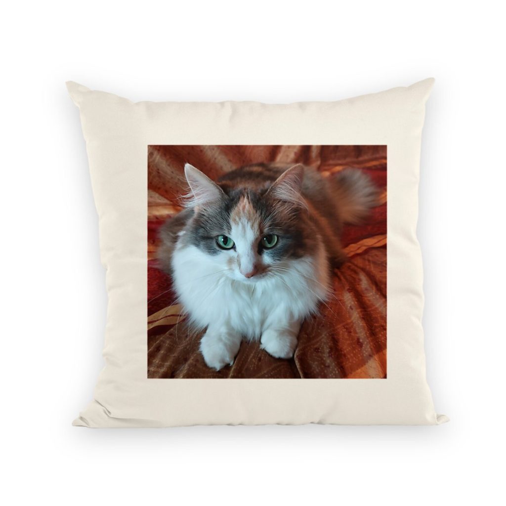 Coussin Photo chat