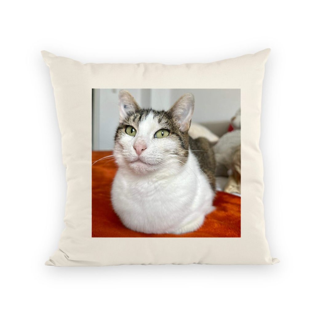 Coussin Photo chat